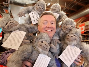 Brad Hewlett, owner of Two Rivers Souvenirs at the Forks, is surrounded by stuffed sasquatches in his store in Winnipeg, Man. Wednesday April 16, 2014. Hewlett has started a petition to make the killing of a sasquatch illegal in Manitoba. (Brian Donogh/Winnipeg Sun/QMI Agency)