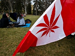 People gather during 420 festivities at the Alberta Legislature grounds in Edmonton, Alta., on Sunday, April 20, 2014. Codie McLachlan/Edmonton Sun/QMI Agency