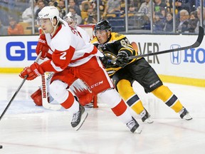 Red Wings defenceman Brendan Smith channelled his older brother Rory when challenging Bruins behemoth Zdeno Chara to a fight on Sunday. (USA TODAY SPORTS)