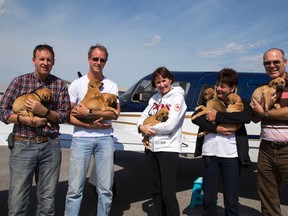 Pilots N Paws volunteers gather with a litter of previously abandoned pups that were flown in from Quebec to the Carp airfield in Ottawa. All the pups found new homes in Ontario. Pictured (from left) are pilot Mark Bett, volunteers Mike Shane and Judy Mucklow, PNPC senior transport co-ordinator Deanna Bliuvas and pilot Peter Mucklow. (HANDOUT/Louise Shane)