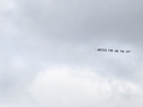 A fly over with a banner in support of Joe the cat was part of a Help End Animal Cruelty demonstration at the Sarnia courthouse Wednesday. (Submitted photo)
