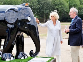 Camilla, Duchess of Cornwall, escorted by her brother Mark Shand, looks at an elephant sculpture designed in the style of a London taxi during a visit to the Elephant Parade exhibition at Chelsea Hospital Gardens in London on June 24, 2010. (WENN.COM)