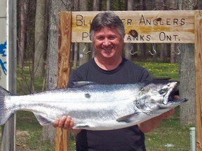 The 38th annual Bluewater Anglers Salmon Derby kicks off next weekend, but will be preceded by a one day warm up derby on Saturday, April 26. Pictured is Jim Maxfield of Forest, Ont. who caught this 23.12 pound Chinook salmon off Kettle Point in Lake Huron during the 2012 Salmon Derby. The fish weighed in as the largest winner in the derby since 2000. (OBSERVER FILE PHOTO)