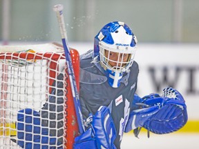 The Admirals will try to get a lot of bodies in front of Marlies goalie Drew MacIntyre. (ERNEST DOROZSUK/Toronto Sun)