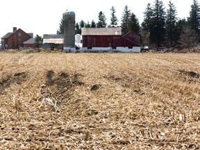 A farm in Thorndale in London on Thursday. DEREK RUTTAN/The London Free Press/QMI Agency