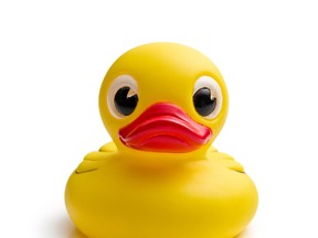 Toy duck.

(Fotolia)