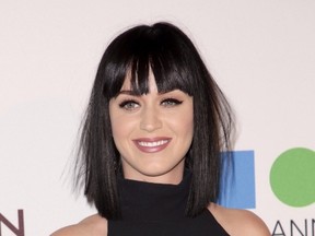 Katy Perry. (Brian To/WENN.com)