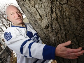 Toronto Sun Columnist Mike Strobel is pictured hugging a big silver maple in the city's downtown area. (JACK BOLAND, Toronto Sun)