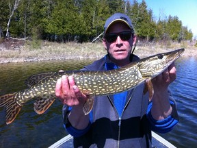 Little Current's Jeff Crowell shows a healthy northern pike caught during last year's pike opener on Georgian Bay. Anglers will have to be a little more patient this year.