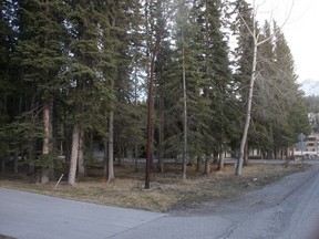 Two heavily treed Parks Canada lots on Marmot Crescent have attracted low-ball purchase offers totalling $105,000 from the Town of Banff, which wants them for new housing units.Dave Husdal/ For the Crag