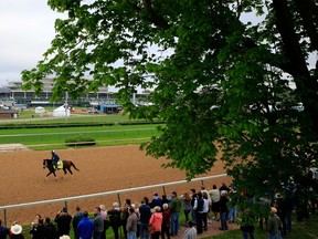 We Miss Artie, ridden by Nick Bush, goes over the track during the morning exercise session in preparation for the 140th Kentucky Derby. (AFP)