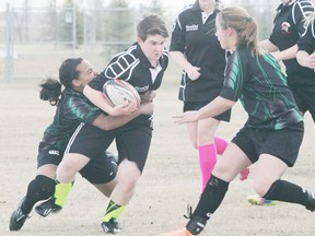 A Saint Peter the Apostle Spartan (with the ball) tries to escape the clutches of a Spruce Grove Comp Panther in their first clash of the girls rugby season. - Gord Montgomery, Reporter/Examiner