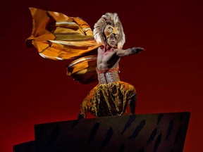Jelani Remy as Simba from The Lion King National Tour. (Joan Marcus photo)