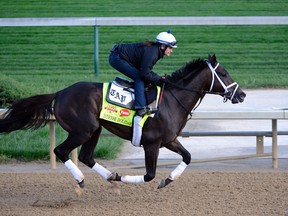 Intense Holiday will race in the 2014 Kentucky Derby (USA Today Sports)
