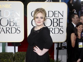 Adele. (WENN.COM)