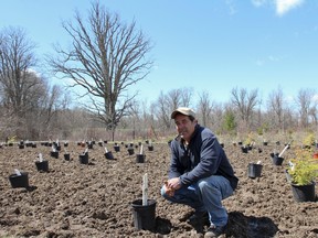 Rick Knapton, a forestry technician with the Cataraqui Region Conservation Authority, with the close to 500 trees and shrubs set to be planted on Saturday for the annual spring community tree planting at Lemoine Point Conservation Area. 
Julia McKay/Kingston Whig-Standard/QMI Agency