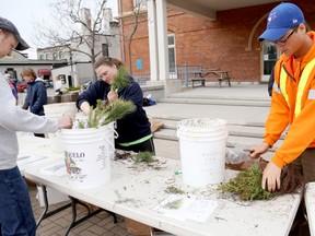 BELLEVILLE, ON (05/03/2014) Belleville's Green Task Force was helping residents make their outdoor spaces more green Saturday with the annual tree seedling giveaway. A variety of tree seedlings were available to city residents, at no charge, at Market Square. The Green Task Force was also selling rain barrels for $55. 
Emily Mountney/The Intelligencer/QMI Agency