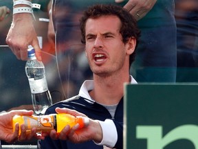 Britain's Andy Murray reacts during the Davis Cup quarterfinal tennis match between his teammate James Ward and Italy's Andreas Seppi in Naples April 6, 2014. (REUTERS)