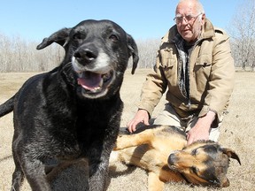 Richard Pinder plays with his dogs Princess and Mae at his home in East Selkirk, Man. Thursday May 01, 2014. (Brian Donogh/Winnipeg Sun/QMI Agency)