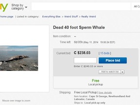 eBay ad for the beached whale.

(QMI Photo)