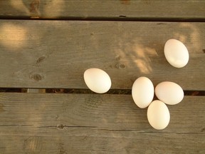 eggs