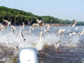 The Obama Administration has spent a significant amount of money to shield the Great Lakes from invasive fish species with the construction of electric barriers.