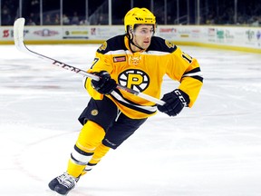 Boston Bruins prospect Seth Griffith of Wallaceburg. (Photo courtesy of Providence Bruins)
