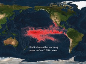 The National Oceanic and Atmospheric Administration (NOAA) image shows the warming waters of an El Nino event in the Pacific Ocean in this image released on July 28, 2010. (REUTERS/NOAA Environmental Visualization Lab/Handout FILE)