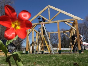 A construction crew builds a structure near Dows Lake in Ottawa On. Wednesday, May 7,  2014. Crew were getting ready for the Tulip Festival which starts in Ottawa this weekend.  Tony Caldwell/Ottawa Sun/QMI Agency