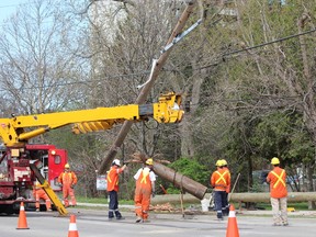 London Hydro workers remove a pole that was struck Saturday by a stolen transport truck on Commissioners Rd. E., east of Whancliffe Rd. A Sarnia man, 34, faces multiple charges. (DALE CARRUTHERS, The London Free Press)