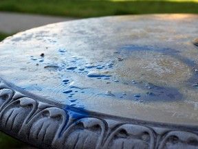 A table in Cenotaph Park newly adorned with blue spray paint. Vandalized on the evening of Friday, May 9. Greg Cowan photo/QMI Agency.