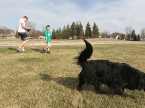Carson (left), 13, and Noah, 7, walk flat-coated retriever Sam in Voyageur Park on Sat., May 10, 2014. Some area residents have objected to a proposal to turn the park into an off-leash dog park. (Kevin King/Winnipeg Sun/QMI Agency)
