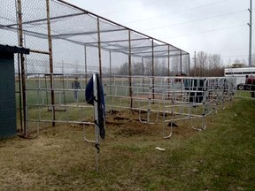 Temporary horse pens were put up against baseball fences during the High School Rodeo, causing concern for the minor baseball association.