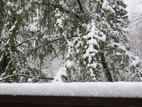 Kenora residents awoke to find more than a few centimetres of snow had again accumulated on Tuesday morning, May 13