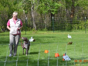 Renee Will, a certified professional dog trainer and certified behavior consultant for canines, works with her dog, Bella, in a rally ring.