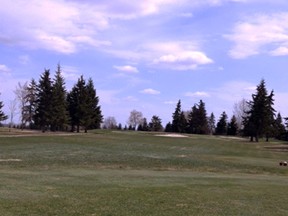 The new, two-coloured tee boxes that have been put into play at the Stony Plain GC. - Gord Montgomery, Reporter/Examiner