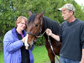 Lorraine Barr and Matt Harvey with Wichita Jazz in Westbrook on Friday. Wichita Jazz was one of the horses rescued during last Sunday's barn fire at Kingston Park Raceway. (Ian MacAlpine/The Whig-Standard)