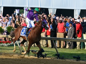 Victor Espinoza aboard California Chrome celebrates winning the 139th Preakness Stakes at Pimlico Race Course May 17, 2014 in Baltimore. (Tommy Gilligan-USA TODAY Sports/Reuters)