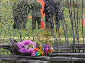 Investigators scour an area of a roadside field Sunday, May 18, 2014, the day after a parachute jump ended in tragedy for a woman near Keswick. (Stan Behal/Toronto Sun)