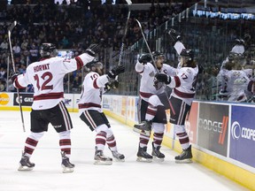 Guelph Storm players celebrate a goal by line mate Tyler Bertuzzi, right, during their 2014 Memorial Cup round robin hockey game against the Edmonton Oil Kings at Budweiser Gardens in London, Ontario on Saturday May 17, 2014.
CRAIG GLOVER The London Free Press / QMI AGENCY