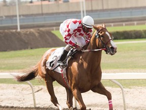 Quincy Welch rode Saturday Nite Ride to the win in Sunday's Wild Rose Handicap. (Ryan Haynes, Northlands)