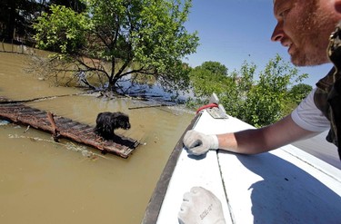 A man rescues a dog during heavy floods in Vojskova May 19, 2014. More than a quarter of Bosnia's four million people have been affected by the worst floods to hit the Balkans in more than a century, the government said on Monday, warning of "terrifying" destruction comparable to the country's 1992-95 war. REUTERS/Srdjan Zivulovic