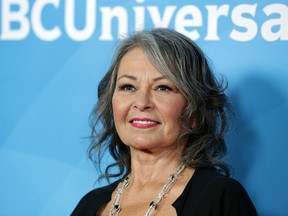 Roseanne Barr (WENN.COM)