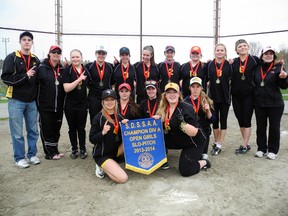 The Lively Hawks pose with the championship banner after winning the Division A slo-pitch championships at Terry Fox Sports Complex on Tuesday afternoon.