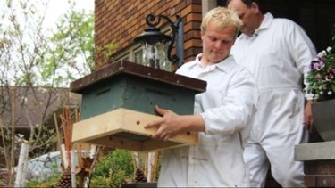 More than 50,000 bees were found in a home in Kitchener, Ont., Tuesday, May 20, 2014. (QMI Agency)