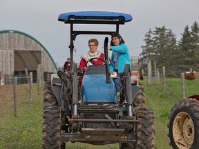 Liberal Leader Kathleen Wynne drives a tractor on a farm near Paris, Ont. (BRIAN THOMPSON, QMI AGENCY)