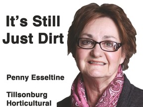 Penny Esseltine, It's Still Just Dirt