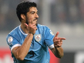 Uruguay's Luis Suarez celebrates after scoring against Peru during their 2014 World Cup qualifying soccer match in Lima in this September 6, 2013 file photo. (REUTERS)