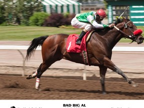 Big Bad Al runs during the Western Handicap at Northlands Park in 2009. SUN ARCHIVE