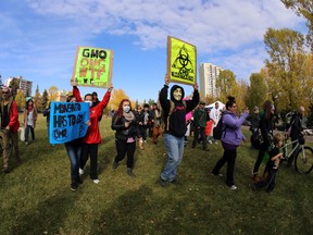 Dozens of people rally at End of Steel Park for World Food Day and March Against Monsanto in Edmonton, Alberta on Saturday, October 12, 2013.  Perry Mah/ Edmonton Sun/QMI Agency